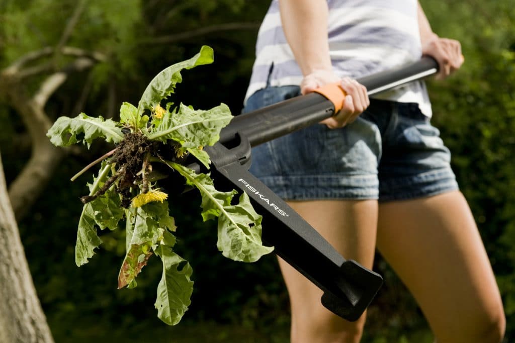 Désherbeur Manuel En Acier Inoxydable Avec Poignée Bois - Outil Ergonomique Pour Jardin Et Terrasse