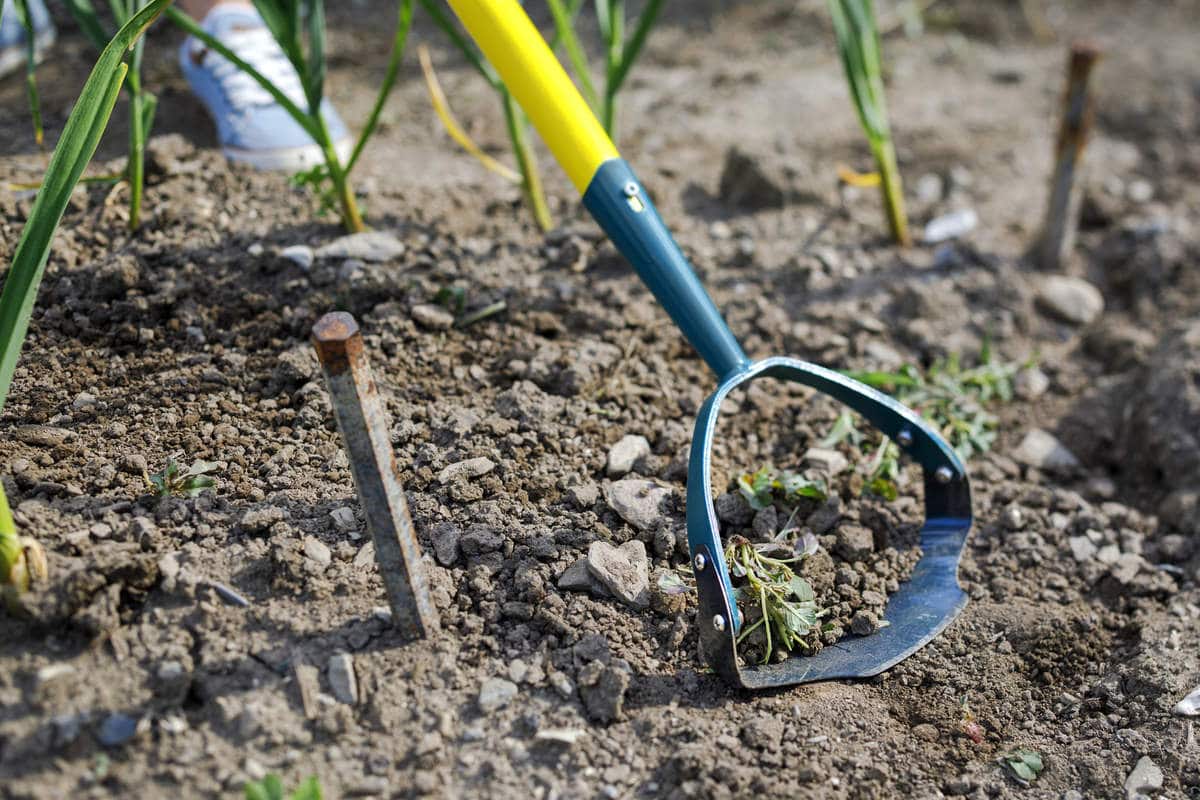Désherbeur Manuel Pliable Pour Herbe Aquatique - Outil Jardinage Avec Corde 10m Pour Étangs Et Lacs