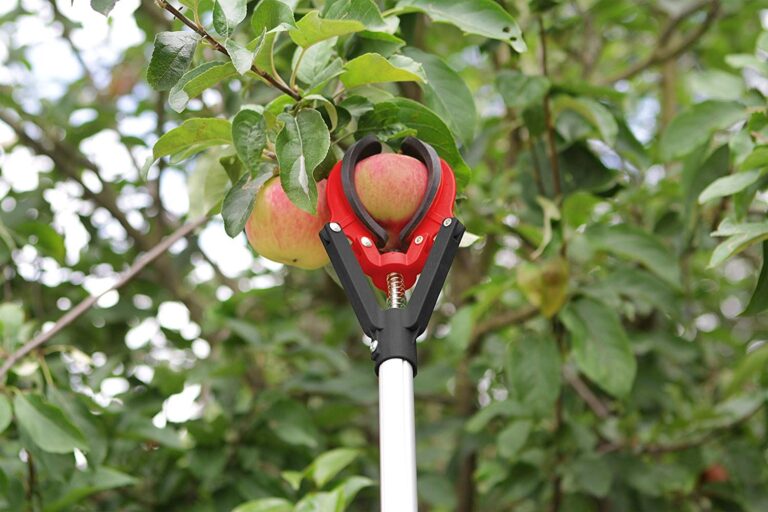 Cueilleur De Fruits,2.1Mètres Cueille Fruit Télescopique,Cueillir De Fruits Avec Poteau,Cerise Outil à Cueillir De Fruits,pour La Récolte De Pommes,D' Agrumes,de Poires,de Pêches